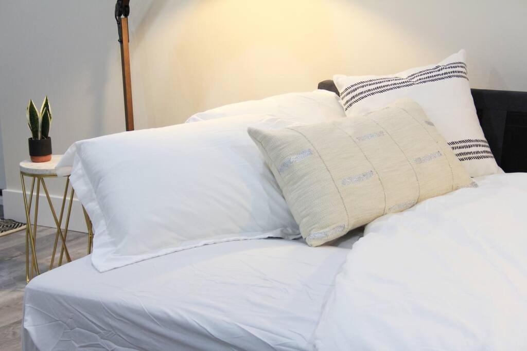 Executive Bsmt Suite, King Bed, 5 Min To Dt & Whyte Ave, Sleeps 6! Apartment *